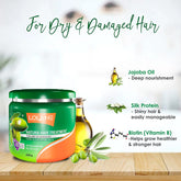 Lolane Natura Dry and Damage Hair Treatment 250g